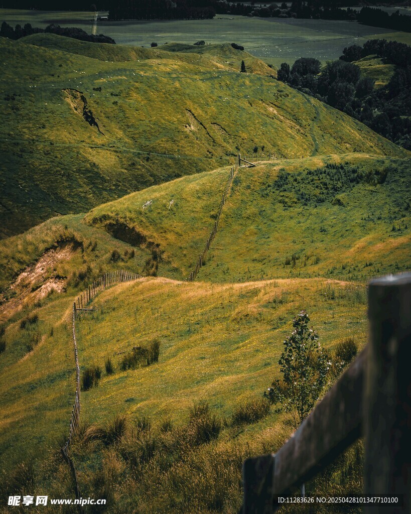 翠绿山丘田园风光美景