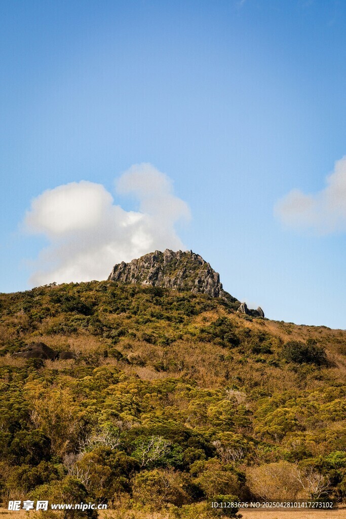 山巅风光