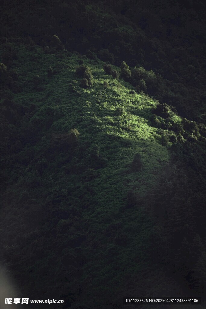 山间微光下的绿意景致