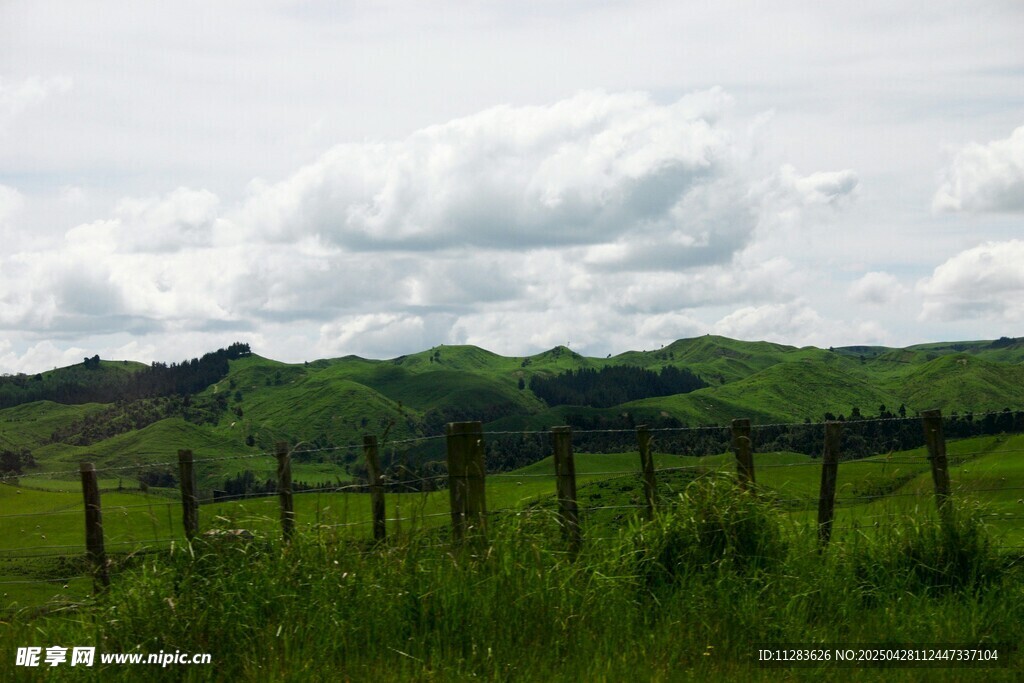 草原围栏边的绿意风景