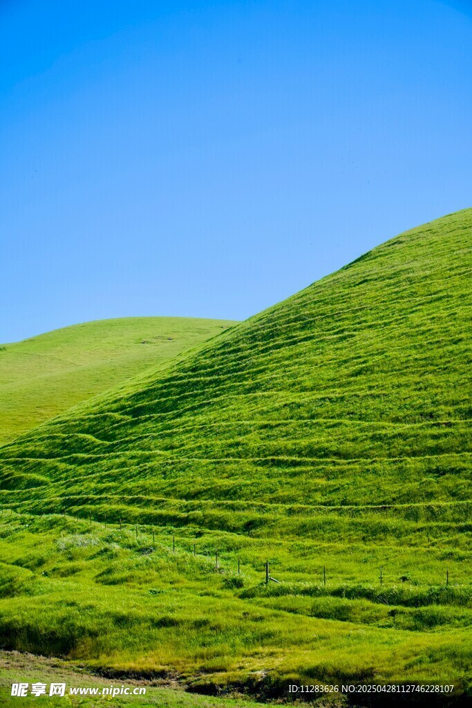 翠绿山丘蓝天美景