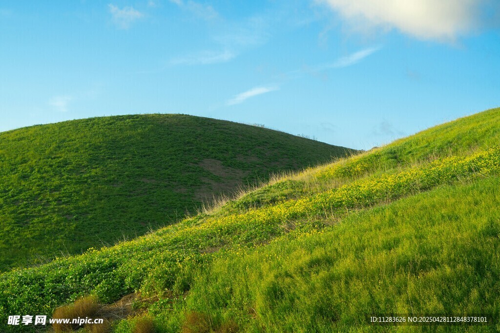 翠绿山坡 蓝天白云美景