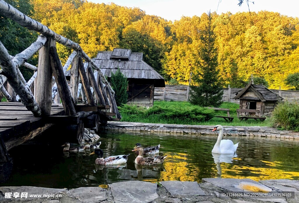 秋日乡村木桥畔的宁静景