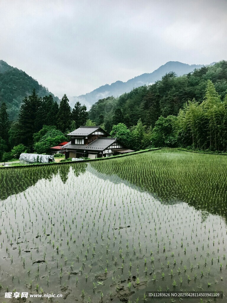 田园水乡美景
