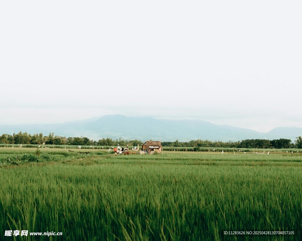 广袤绿野田园风光美景
