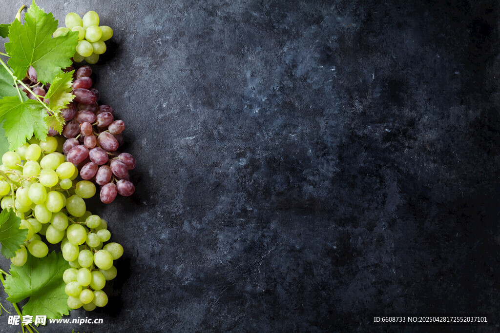 黑底上的多彩葡萄与绿叶