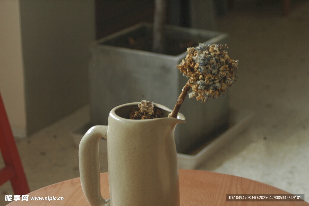 简约白杯插干花静物图