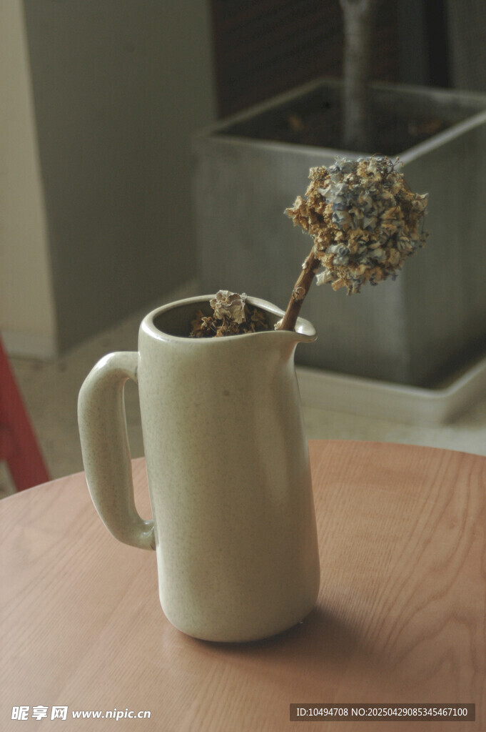 白色陶杯插干花静物图