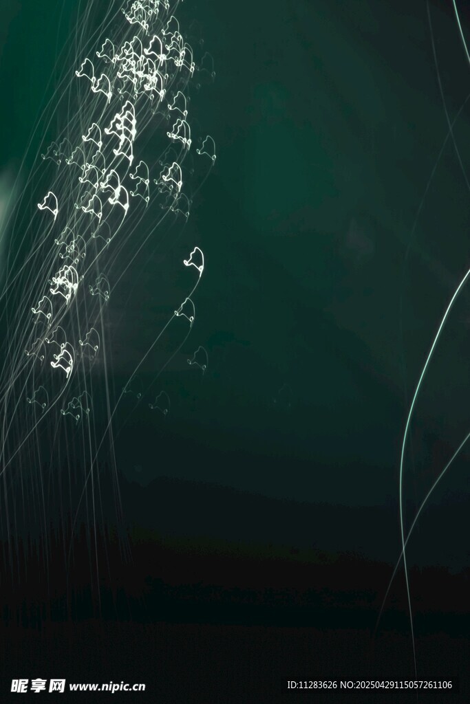夜空中绚烂的烟花绽放