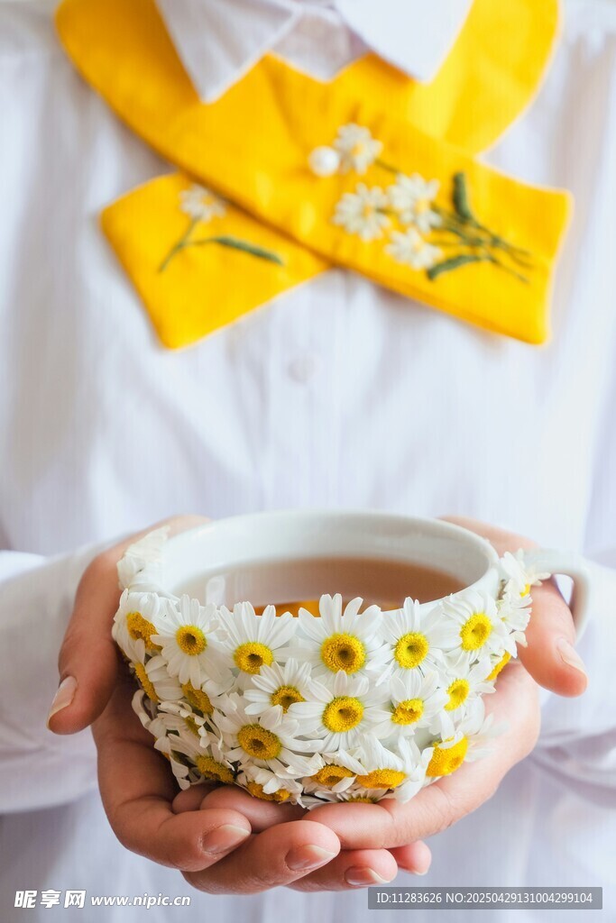 手捧雏菊宠物项圈