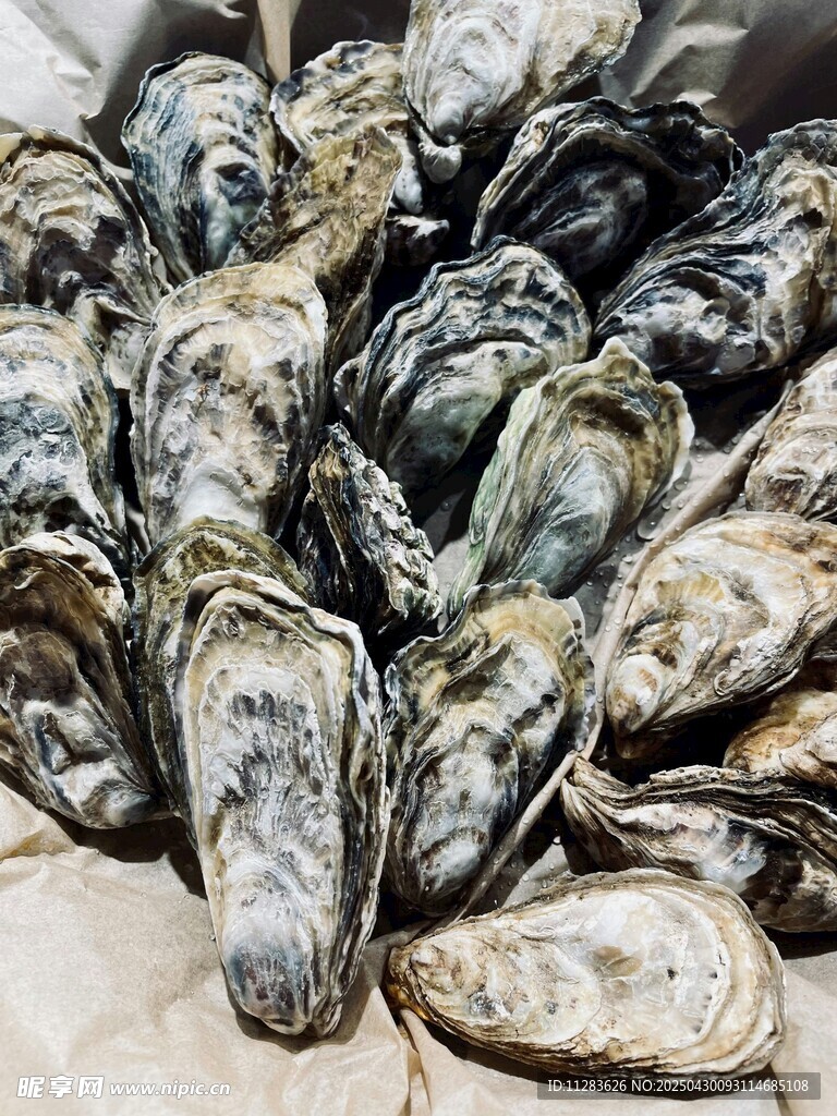 新鲜牡蛎堆叠展示