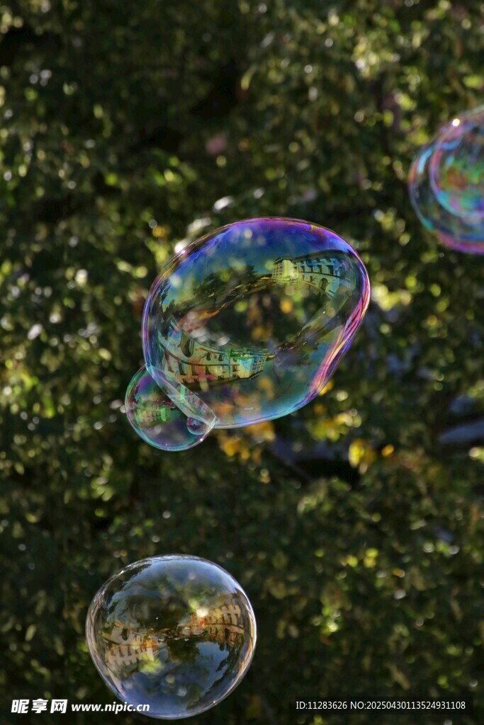 阳光下的梦幻彩色泡泡