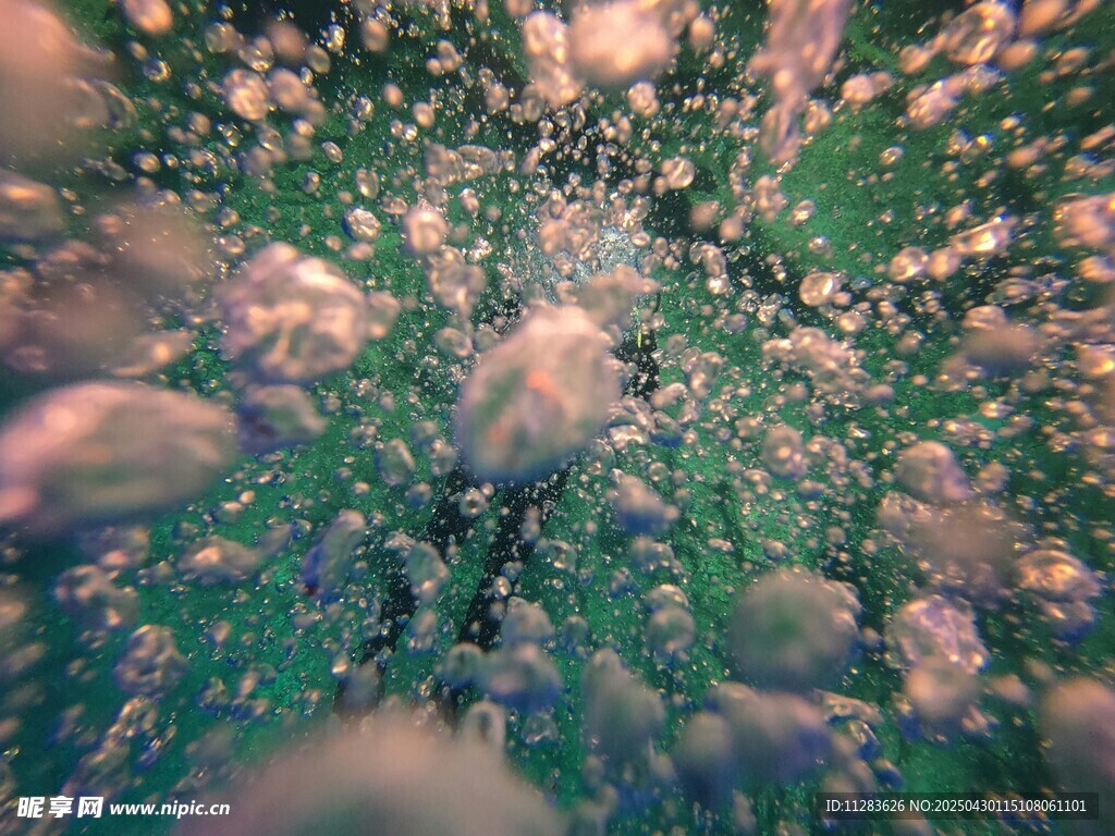 海底鱼群景象