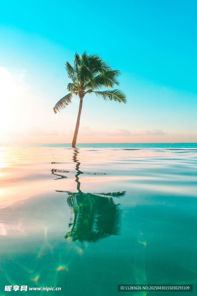 海边孤椰 水天相映美景