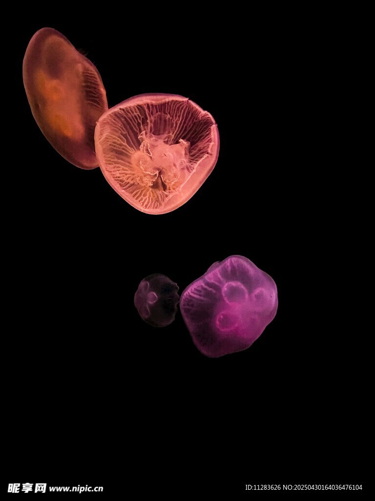 多彩宝石悬浮画面展示
