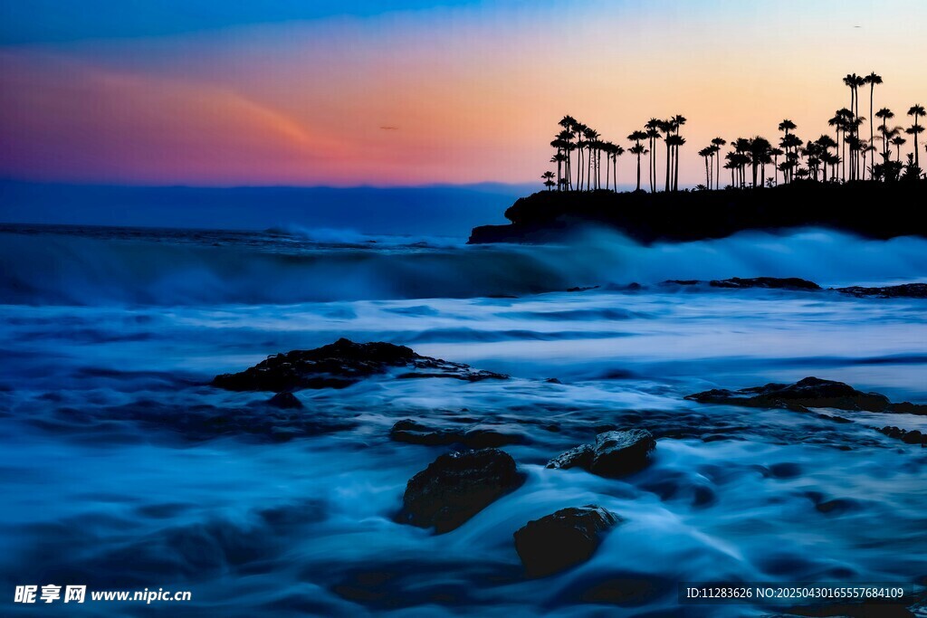 海边日落时的棕榈树美景