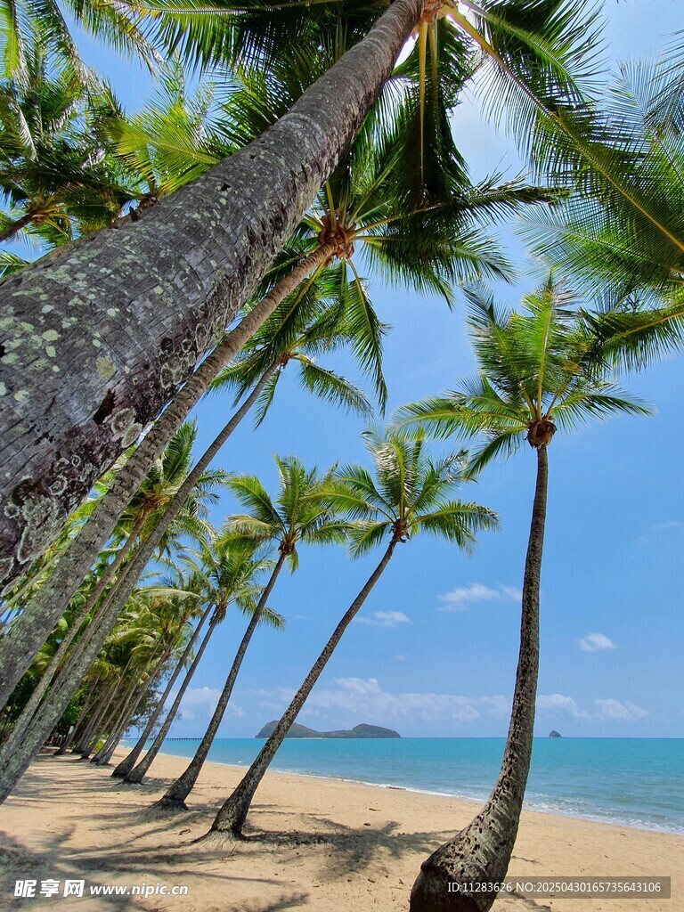 热带海滩椰林美景
