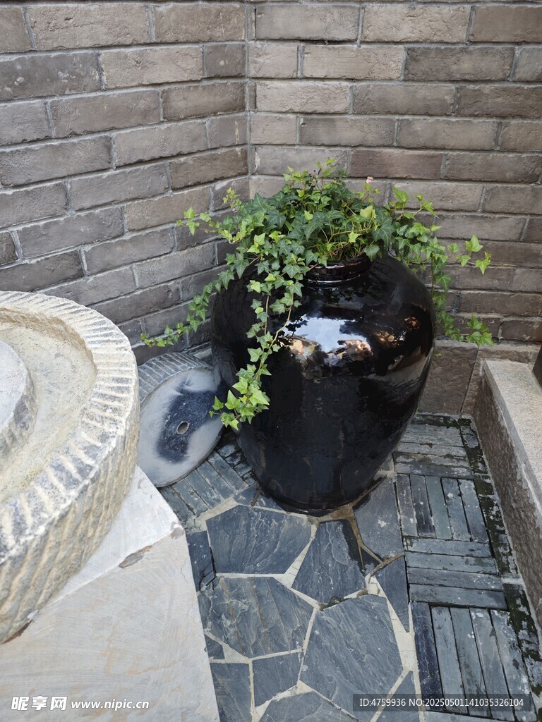 角落绿植陶罐景观
