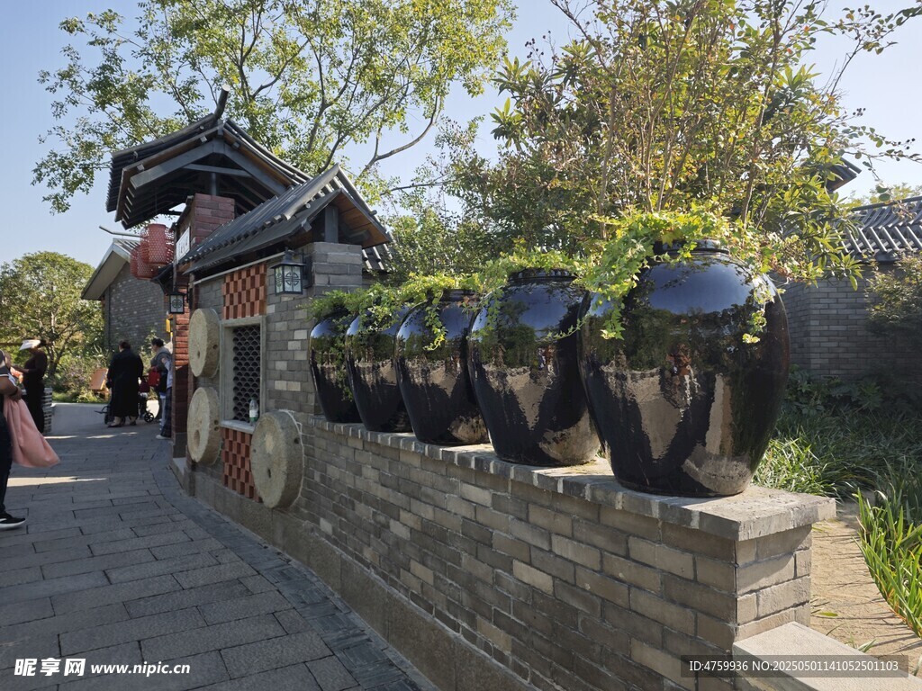 古墙边的一排绿植大缸