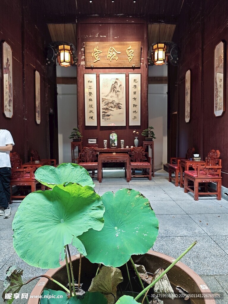 中式庭院中的绿植与古建