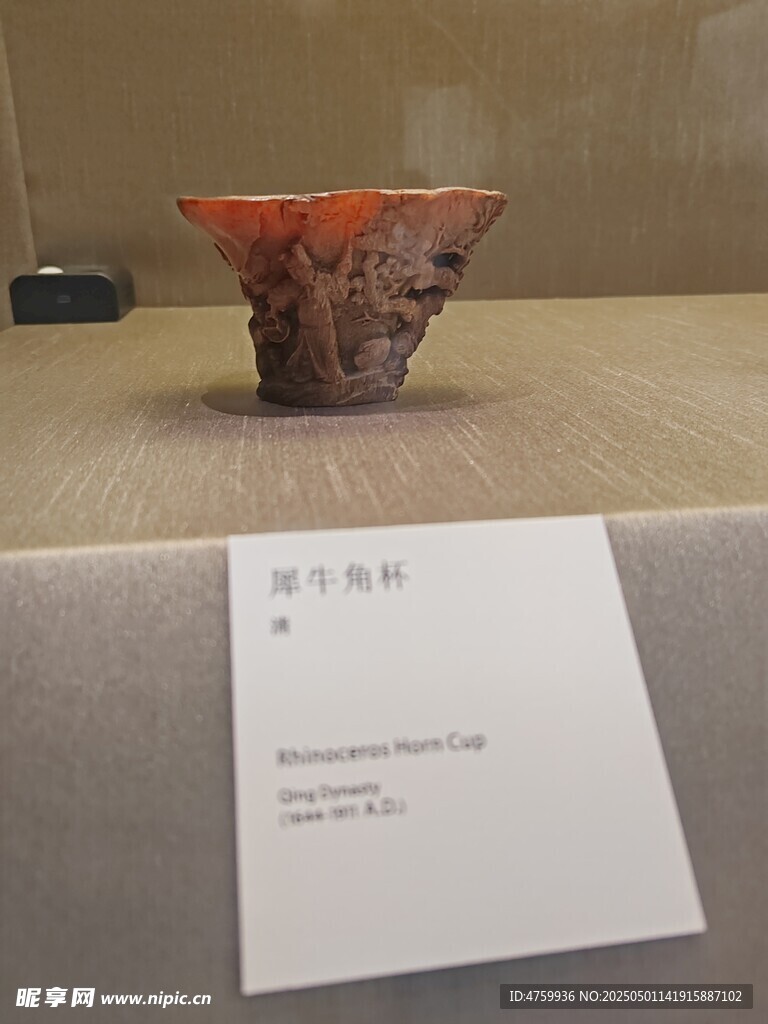 明代犀角杯展示