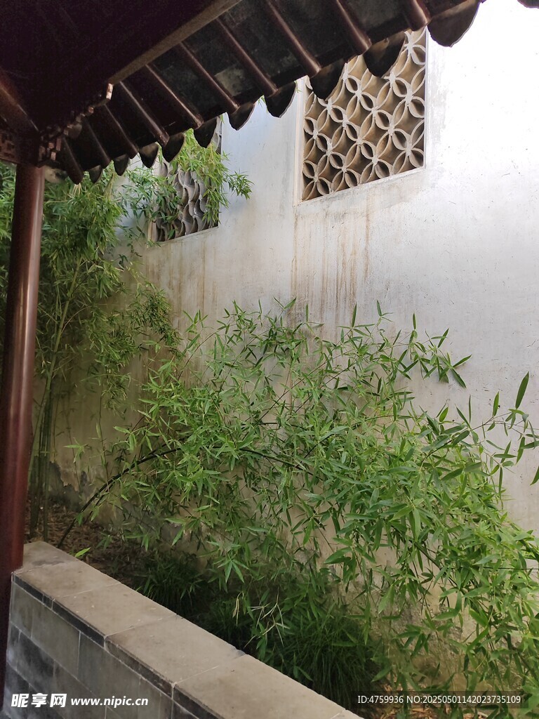 中式庭院一角绿植景致