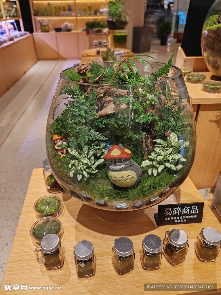 创意绿植景观摆件展示