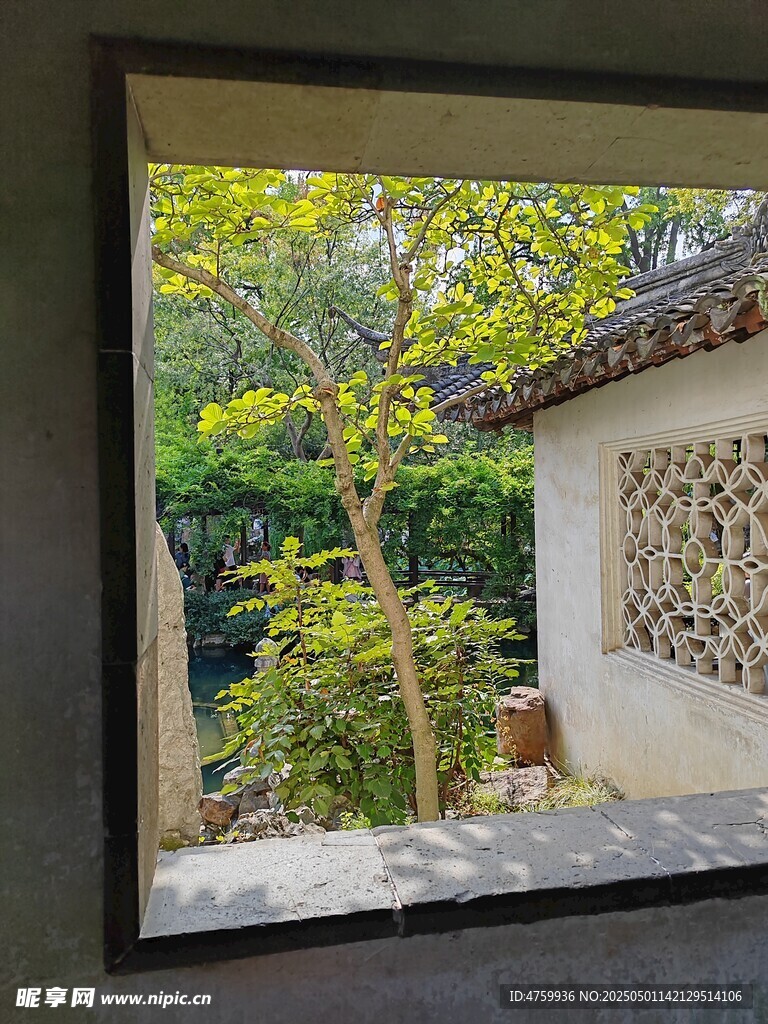 窗外庭院绿意景致