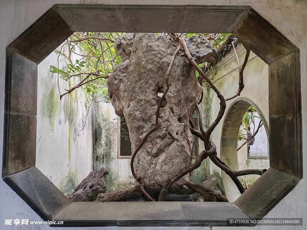 中式庭院窗景古朴雅致假山 藤蔓