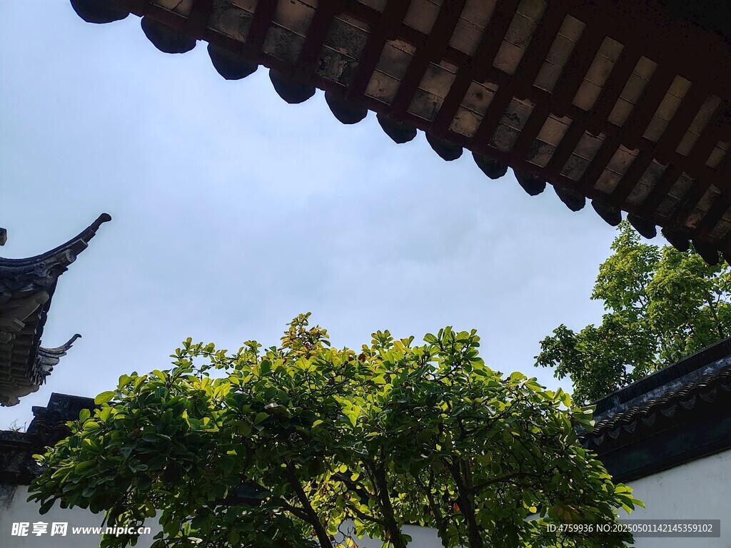 中式屋檐下的葱郁绿树