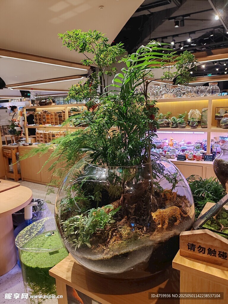 店内精致创意绿植景观