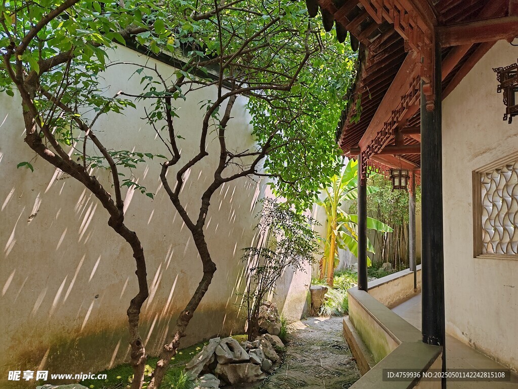 中式庭院一角清幽景致