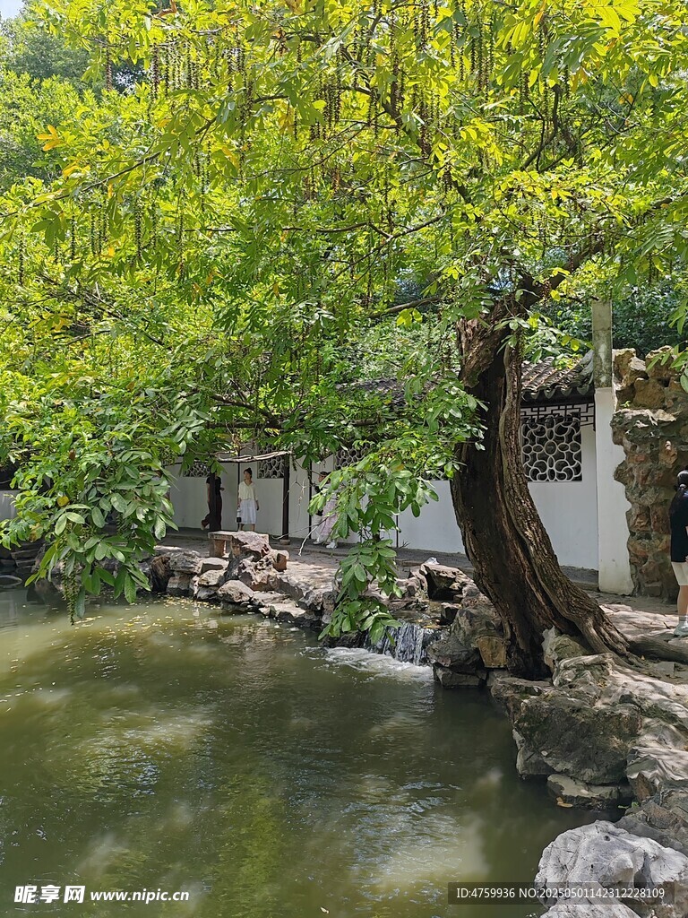 中式园林水景绿树成荫