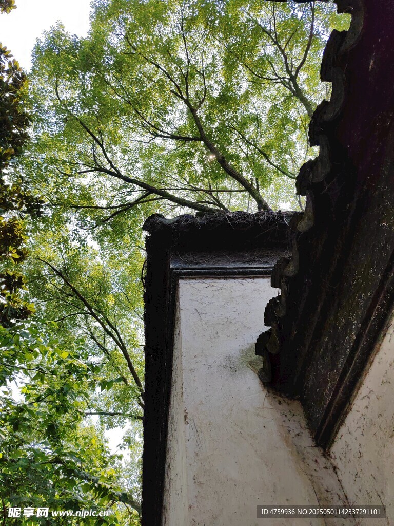 中式屋檐下的绿意景致