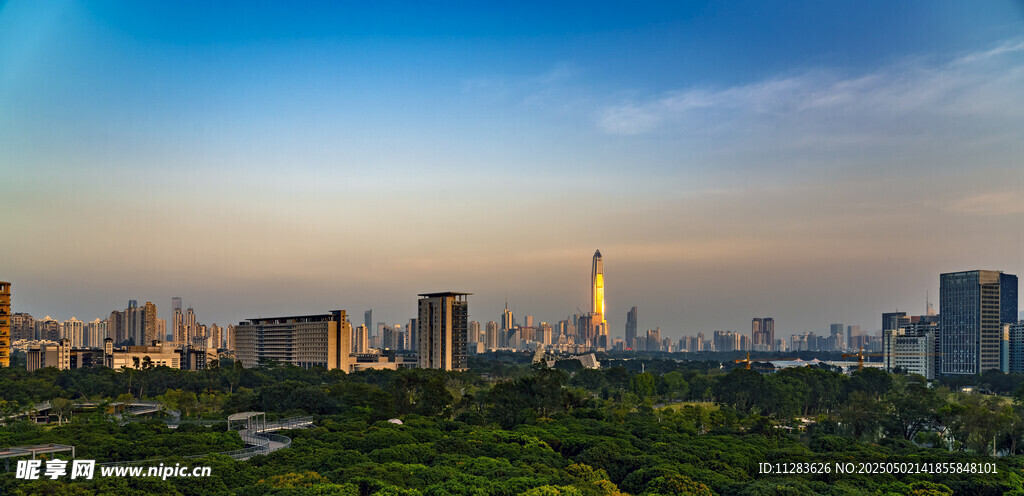 城市天际线与葱郁景观