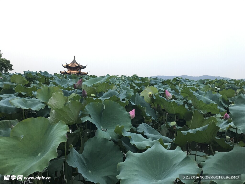 杭州西湖美景