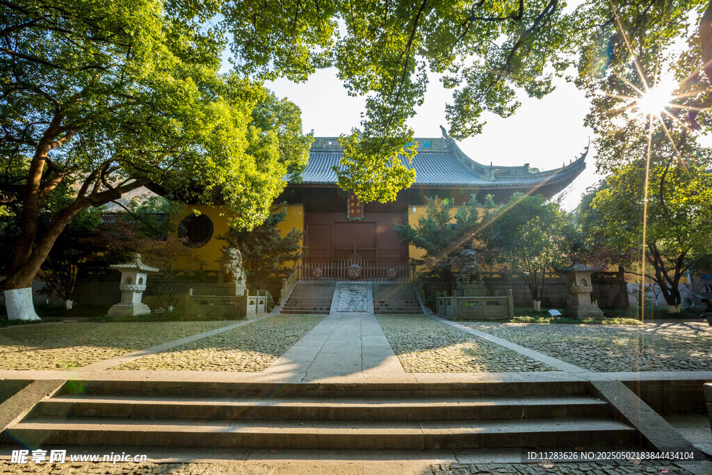 古寺庭院绿意盎然景致