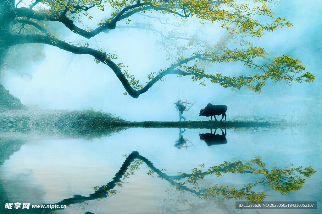 湖畔孤树小船静谧之景