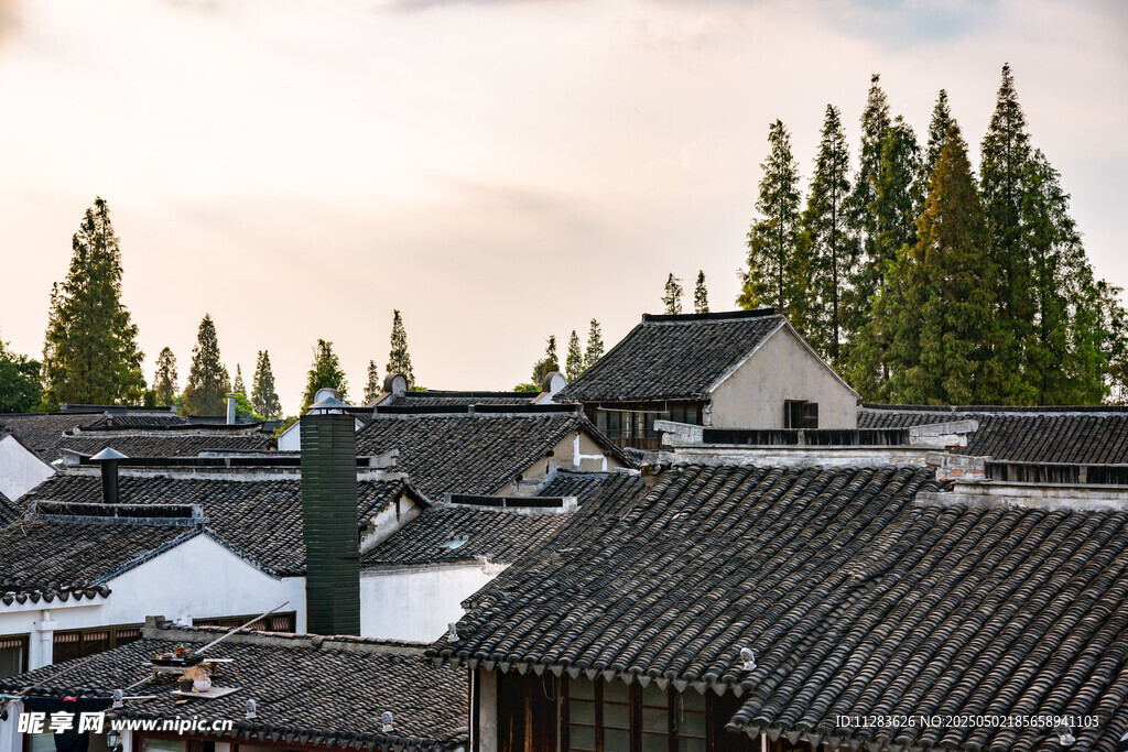 江南水乡屋顶风光