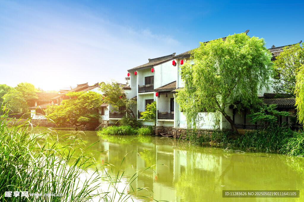 河畔人家 阳光映照水乡景