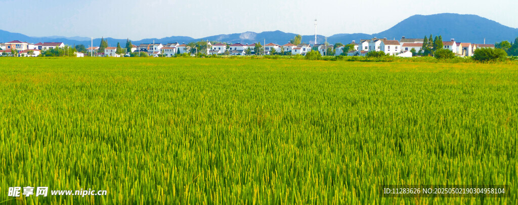 翠绿田野与远处山峦美景