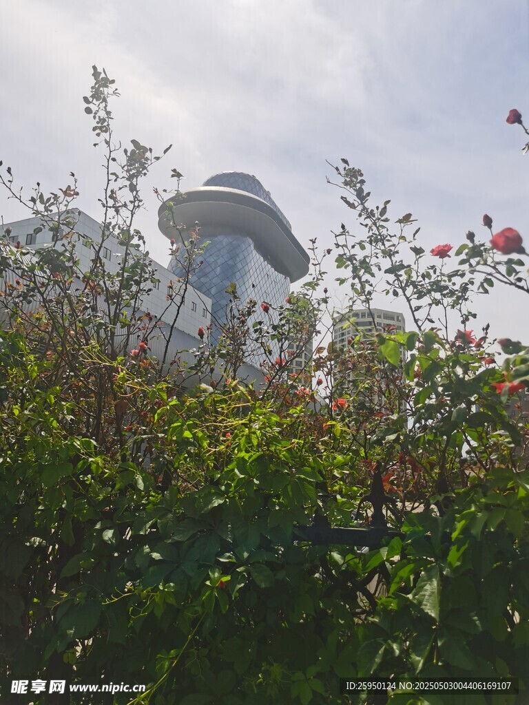 花丛掩映