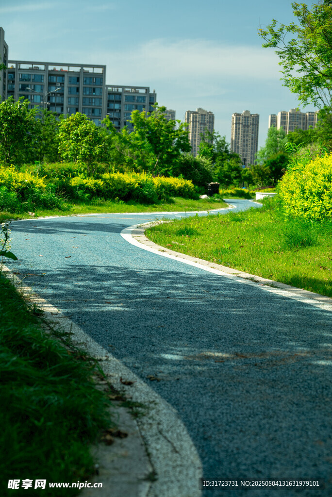 城市中的宁静蜿蜒绿道