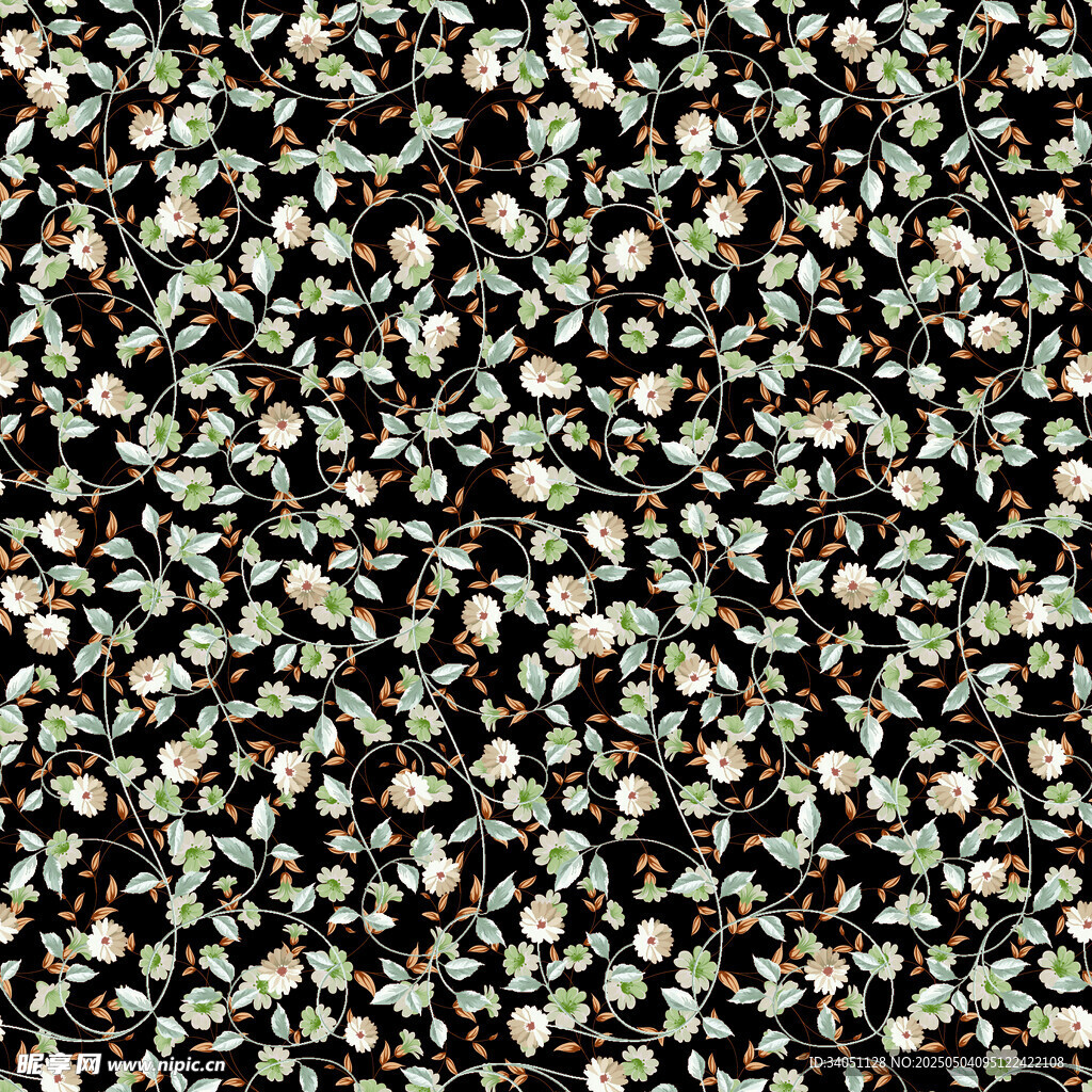 黑色背景上的多彩花