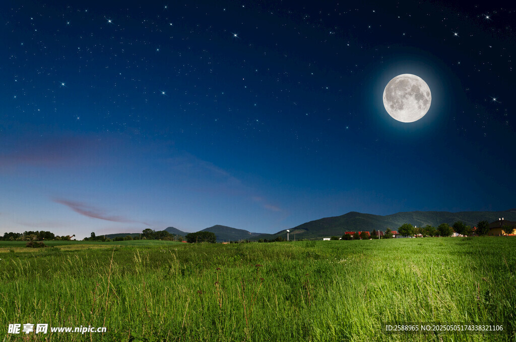 月夜下的广袤绿色原野