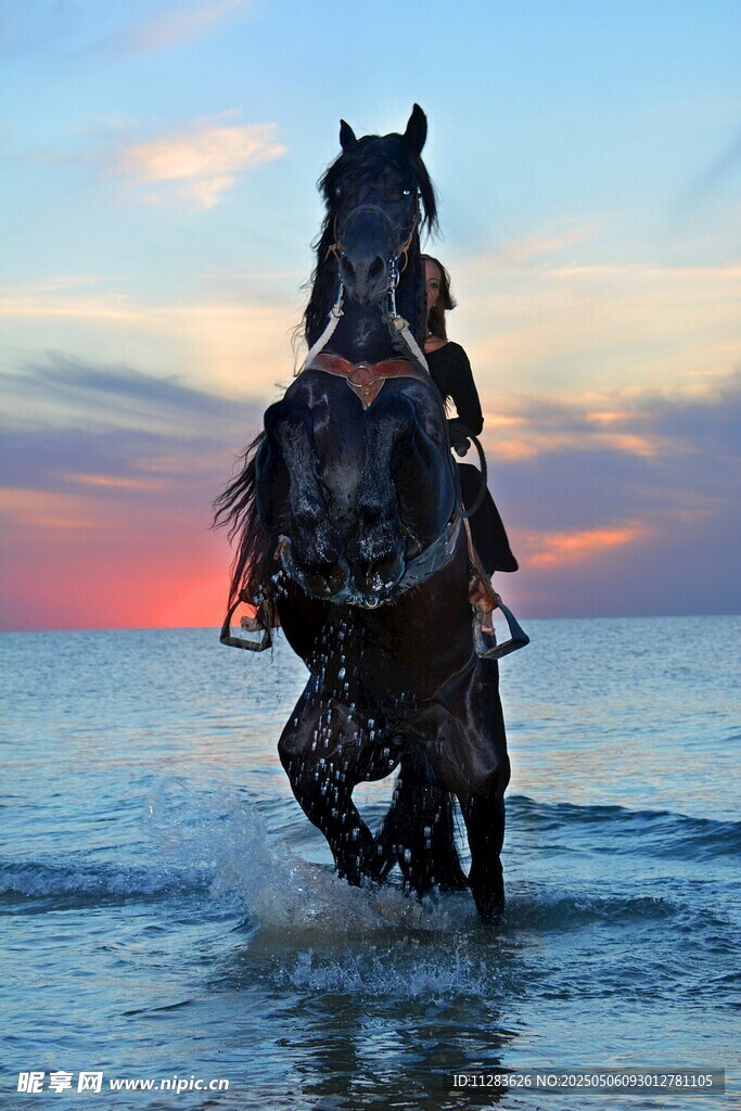 夕阳下骏马踏浪前行