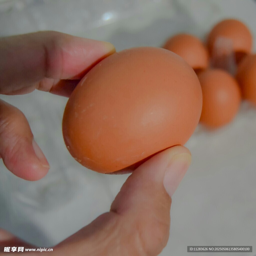 手捧鲜鸡蛋 营养好食材
