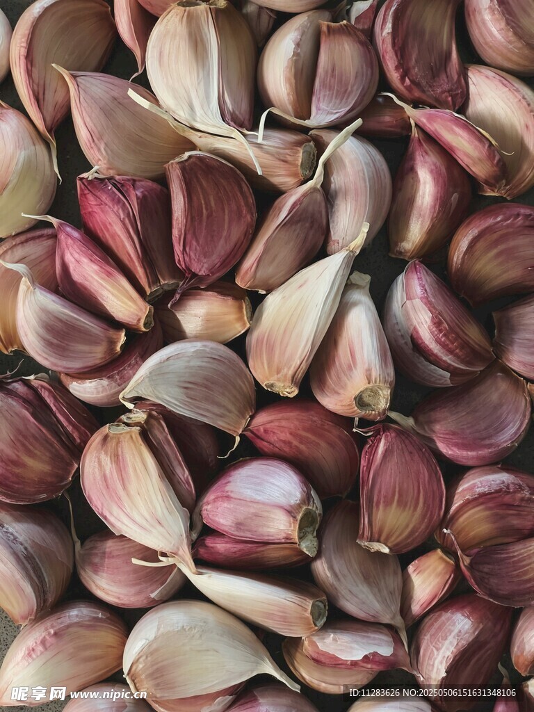 紫皮蒜瓣特写