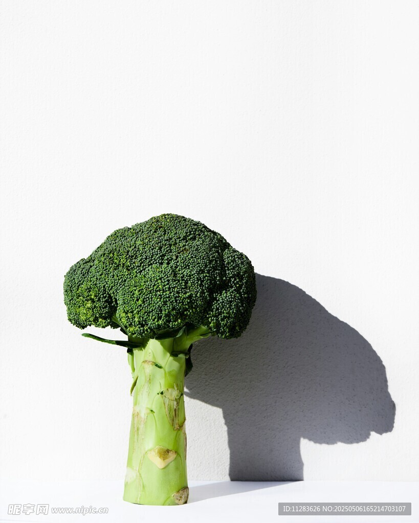 西兰花造型似树的创意画面