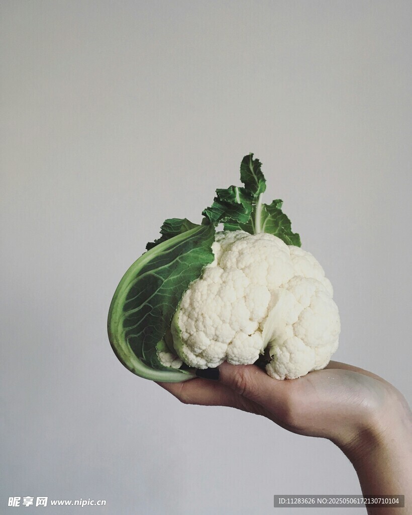 手捧新鲜花椰菜